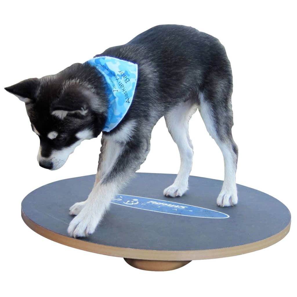 FitPAWS Balansbräda 50 cm svart