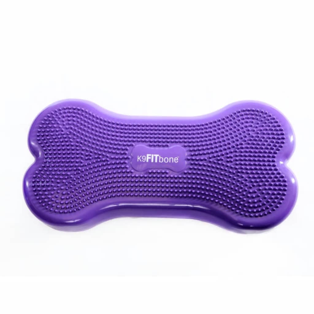 FitPAWS Balansplatta för husdjur Giant K9FITbone PVC lila