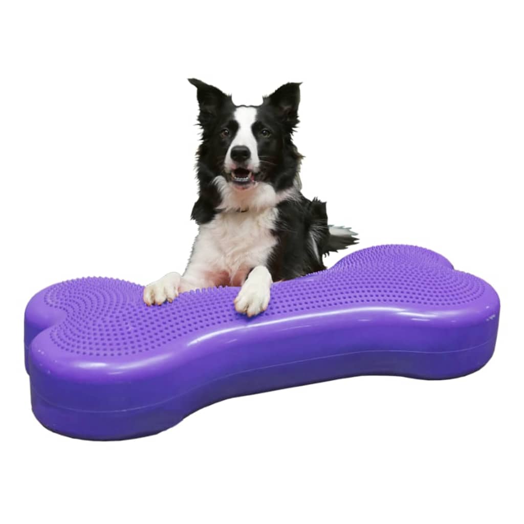 FitPAWS Balansplatta för husdjur Giant K9FITbone PVC lila