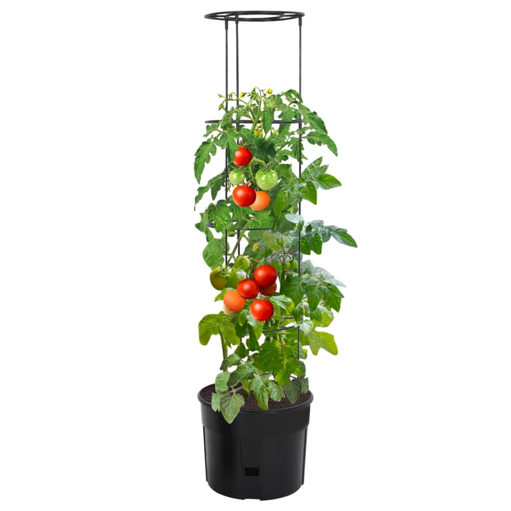 Kruka för tomatplanta Ø39x150 cm polypropylen