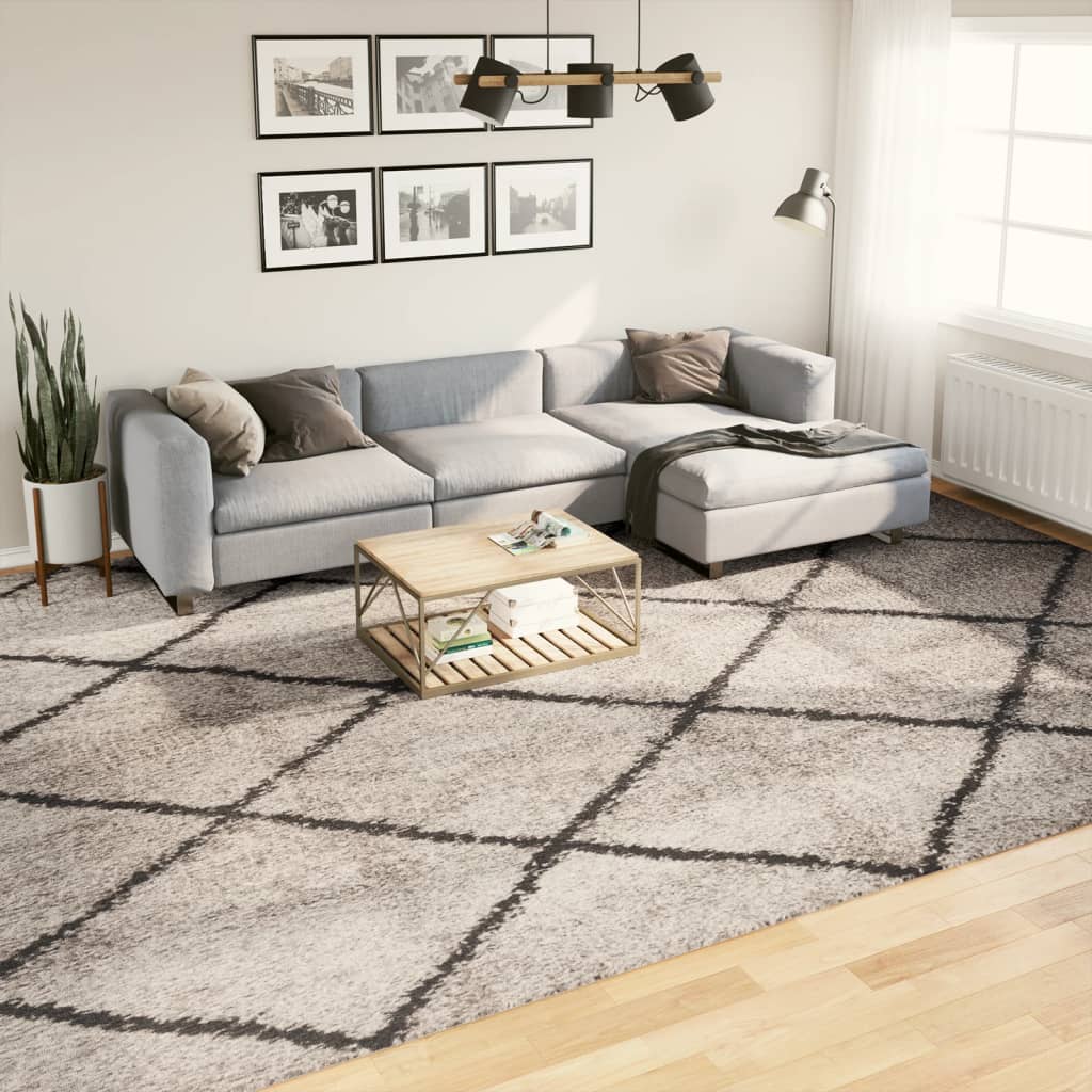 Ryamatta PAMPLONA lång lugg modern beige & antracit 300x400 cm